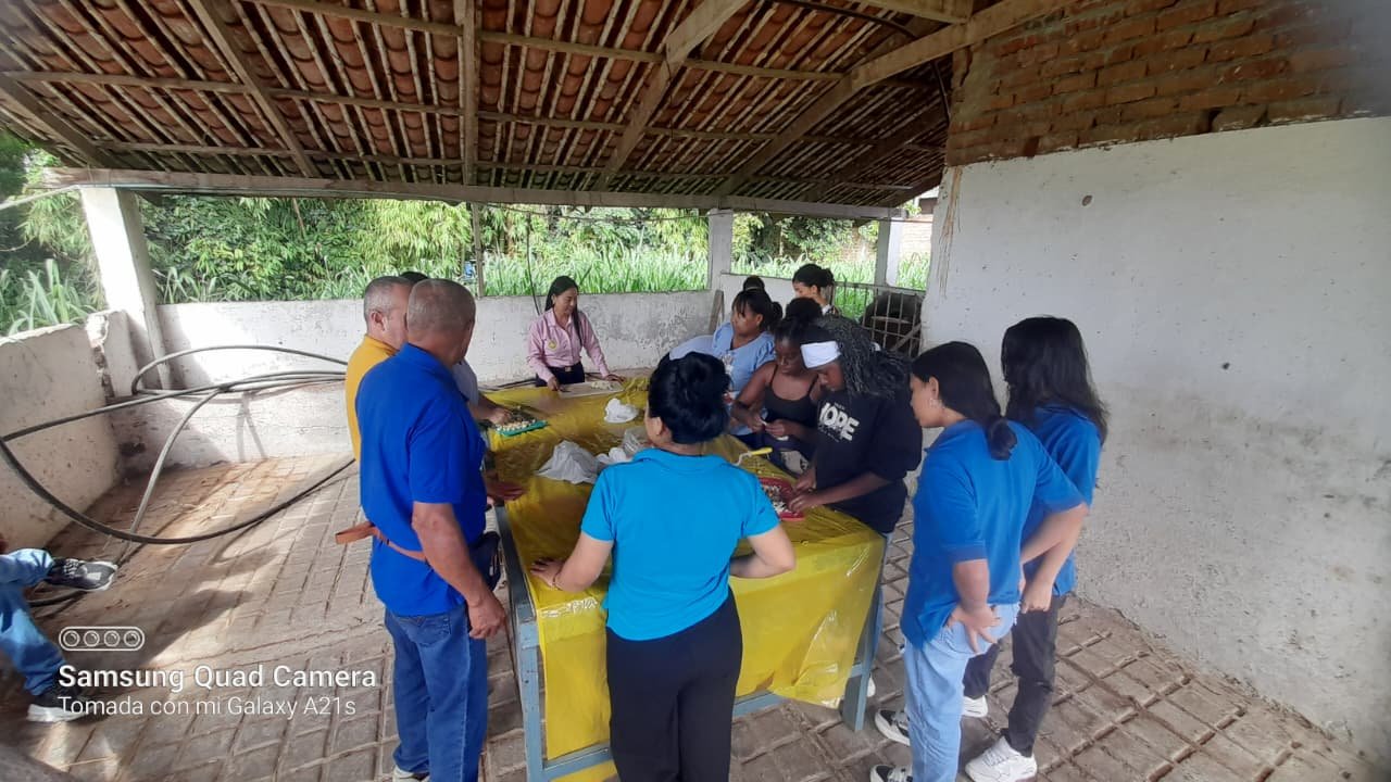 Abonos orgánicos — Fundación HJC Colombia